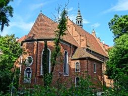 bydgoszcz church of the assumption day view
