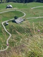 landscape of green fields in summer nature