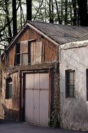 Wooden house in forest