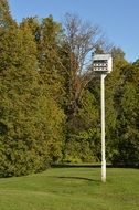 Bird house in the garden