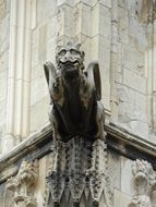 gargoyle near rain gutter