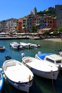 small harbour in Porto venere