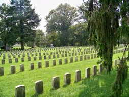 green field among the trees with gravestones