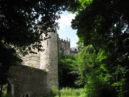 castle behind green trees