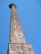 nest on the high tower of an old building, spain