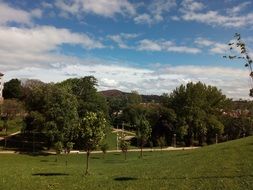 Green lawn among the park, Galicia