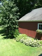 landscape of the garden and house in countryside