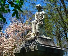 Magnolia trees and stone gravestone on a cemetery