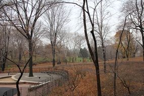 autumn park in new york