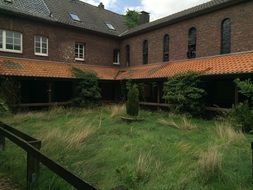 wild home garden landscape