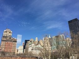 view from the park to skyscrapers on a sunny day