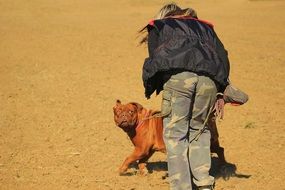 dog handler and mastiff puppy