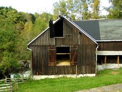 barn in the village among colorful plants