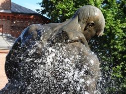 bydgoszcz fountain flood man statue back