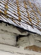 the roof is covered with moss on the house