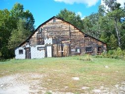 wooden shed near the forest