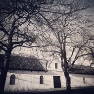 old long building beneath trees, black and white