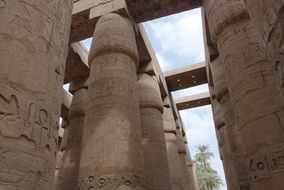 ancient carved columns of telmple in luxor