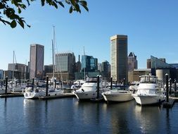 marina in the center of the city of Baltimore