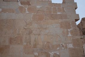carved cow on the wall in luxor