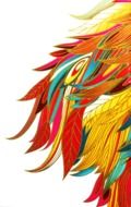 abstract african feathers patterns