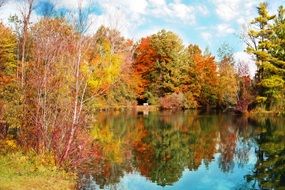 colorful autumn in a park