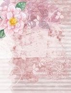 pink background backdrop rose
