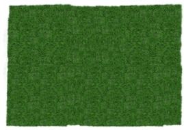 meadow grass blade of green