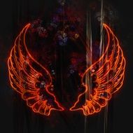 wings abstract fractal design icon