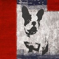 bull dog grunge design funny cute