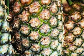 pineapple texture macro pattern