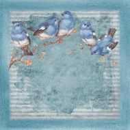 blue birds branch background