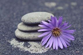 stones decorative ornament with flower