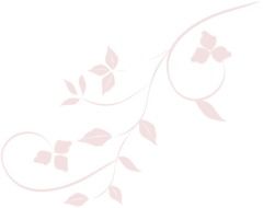pink soft decoration leaves petal