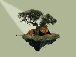 ajmal landscape nature animal
