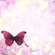 pink butterfly french grunge wall