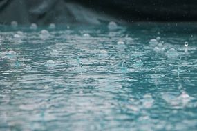 drip rain drop water wet nature