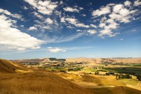 meadows and fields in sunny day