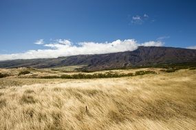 meadows and mountains in sunny day