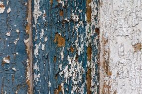 background wood board texture old