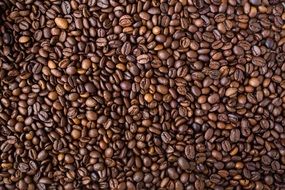 brown coffee beans texture