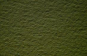 texture of of green cardboard