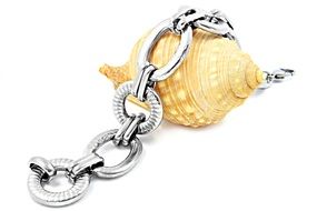 little gift jewelry bracelet with sea shell