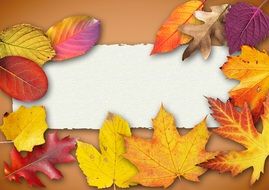 paper framed by autumn leaves