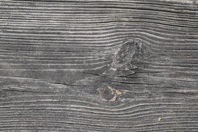 wood texture wooden pattern