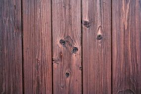 wood boards nature tree texture