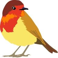 drawing bird nature wild