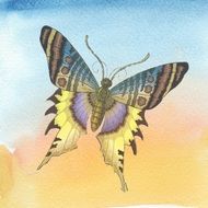 butterfly color watercolor fun