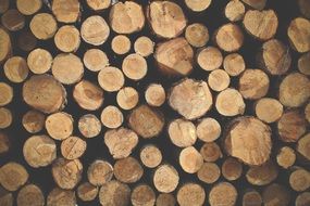 logs texture pattern background