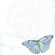 vintage artistic butterfly blue